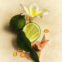Hair & Body Mist B4