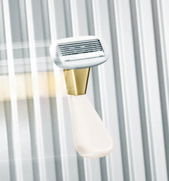 The Mini Razor Y1